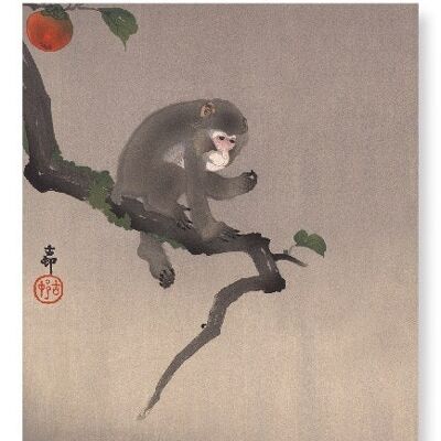 MONKEY AND PERSIMMON FRUIT Japanese Art Print