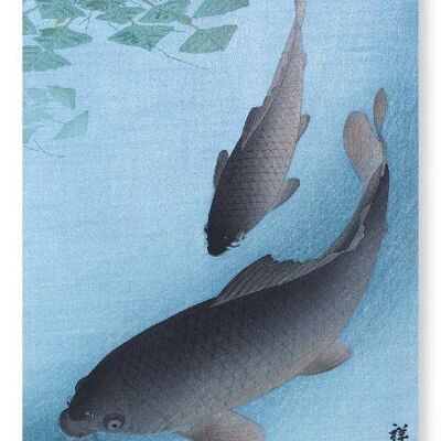 COUPLE OF CARPS Japanese Art Print