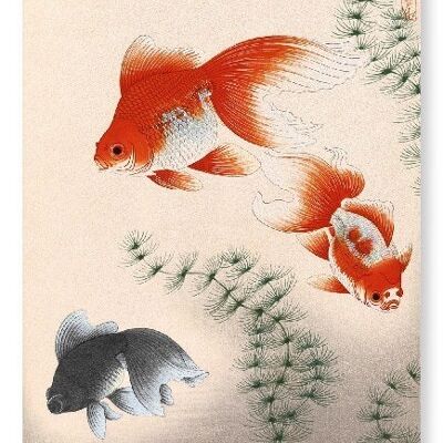 Stampa artistica giapponese GOLDFISH
