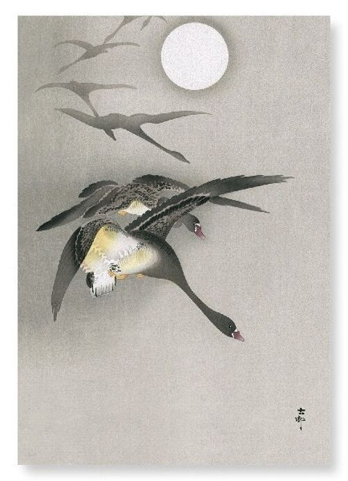 WHITE-FRONTED GEESE IN FLIGHT Japanese Art Print