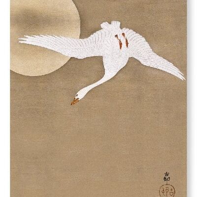 GOOSE IN FLIGHT Japanese Art Print