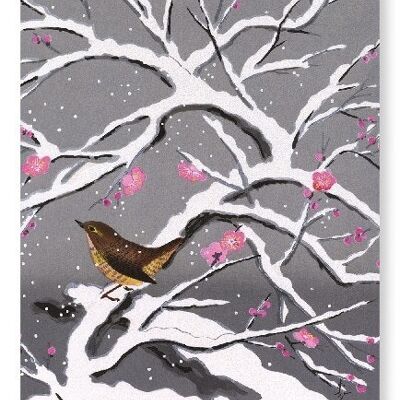 SNOW PLUM BLOSSOMS Japanese Art Print