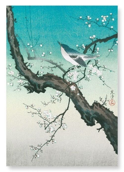 BUSH WARBLER AND PLUM BLOSSOMS Japanese Art Print