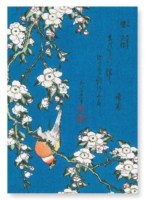 BULLFINCH AND DROOPING CHERRY Japanese Art Print