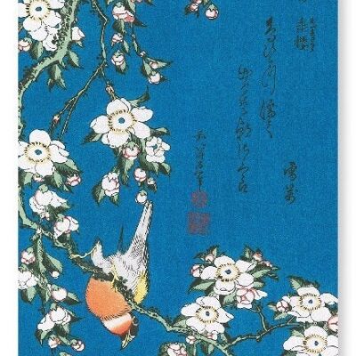 BULLFINCH AND DROOPING CHERRY Japanese Art Print