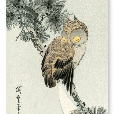 Stampa d'arte giapponese gufo