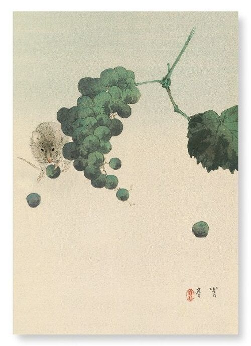MOUSE AND GRAPES Japanese Art Print