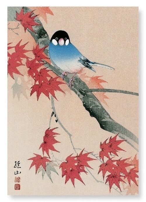 JAVA FINCH IN THE AUTUMN Japanese Art Print