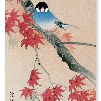 JAVA FINCH IM HERBST Japanischer Kunstdruck