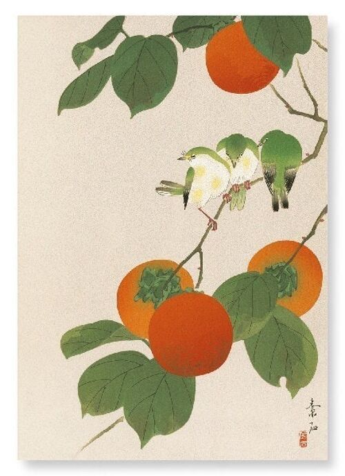 WHITE-EYE BIRDS AND PERSIMMON FRUITS Japanese Art Print