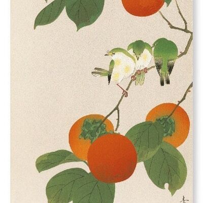 WHITE-EYE BIRDS AND PERSIMMON FRUITS Japanese Art Print