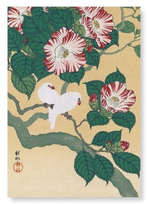 RICE BIRDS AND CAMELLIA Japanese Art Print