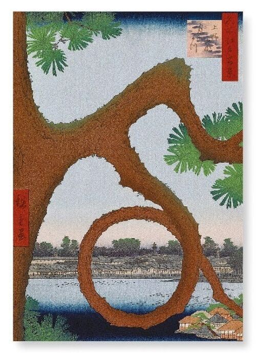 PINE AT UENO Japanese Art Print