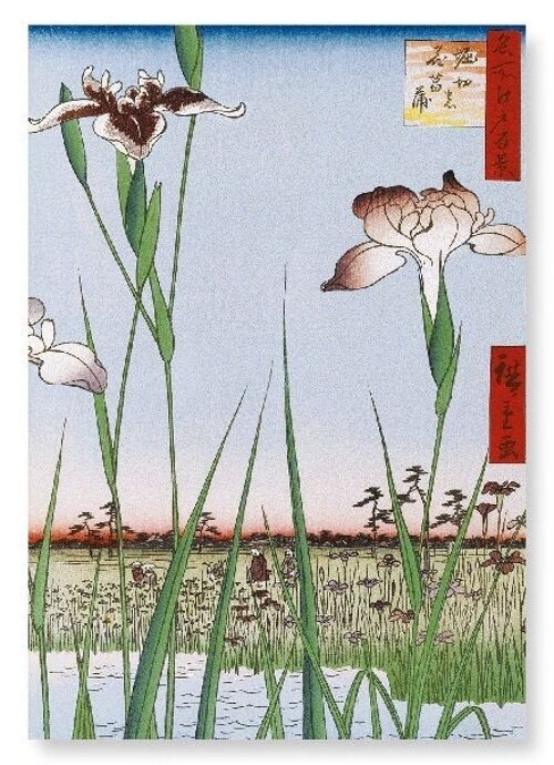 HORIKIRI IRIS GARDEN Japanese Art Print