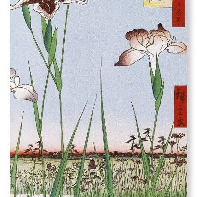 HORIKIRI IRIS GARDEN Japanese Art Print