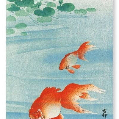 GOLDFISH C.1910 Stampa artistica giapponese