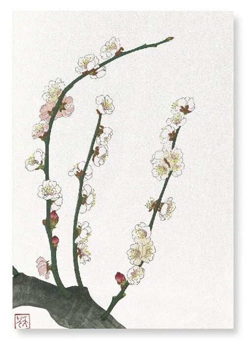 PLUM BLOSSOM Japanese Art Print