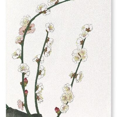 Stampa d'arte giapponese in fiore di prugna