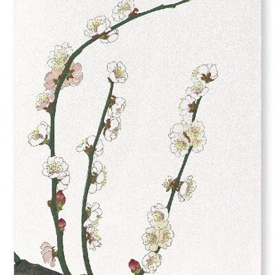 PLUM BLOSSOM Japanese Art Print