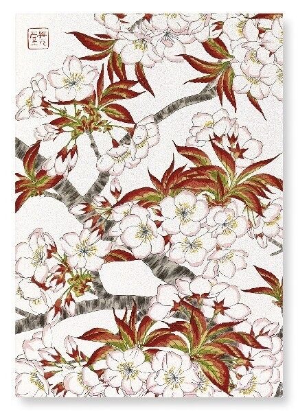 CHERRY BLOSSOM FLOWERS Japanese Art Print