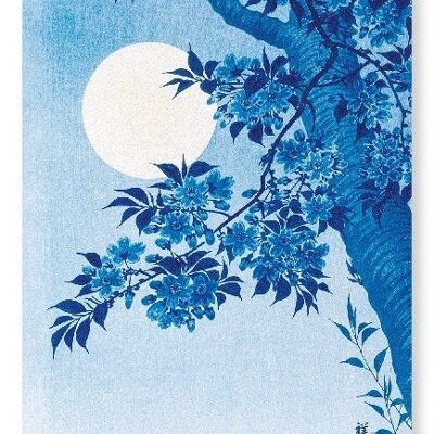 CHERRY BLOSSOMS IN THE MOON Japanese Art Print