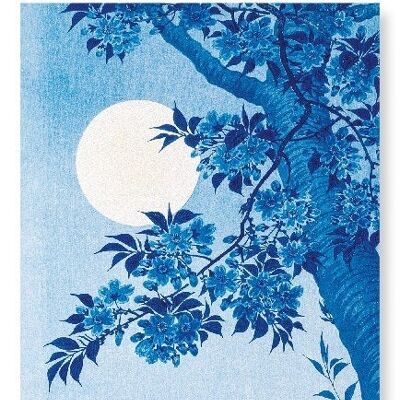 CHERRY BLOSSOMS IN THE MOON Japanese Art Print
