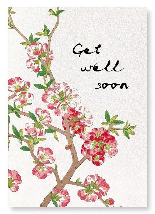 GET WELL SOON QUINCE FLOWERS Japanese Art Print