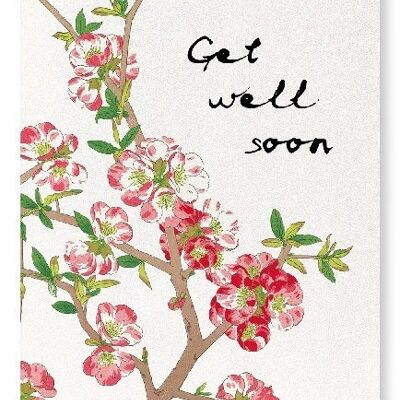GET WELL SOON QUINCE FLOWERS Japanese Art Print