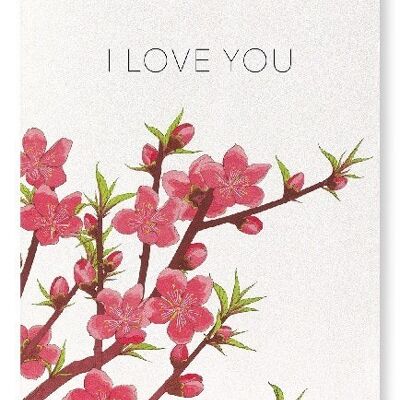 PEACH BLOSSOM OF LOVE Japanese Art Print