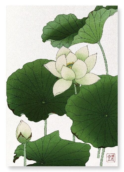 LOTUS FLOWER Japanese Art Print