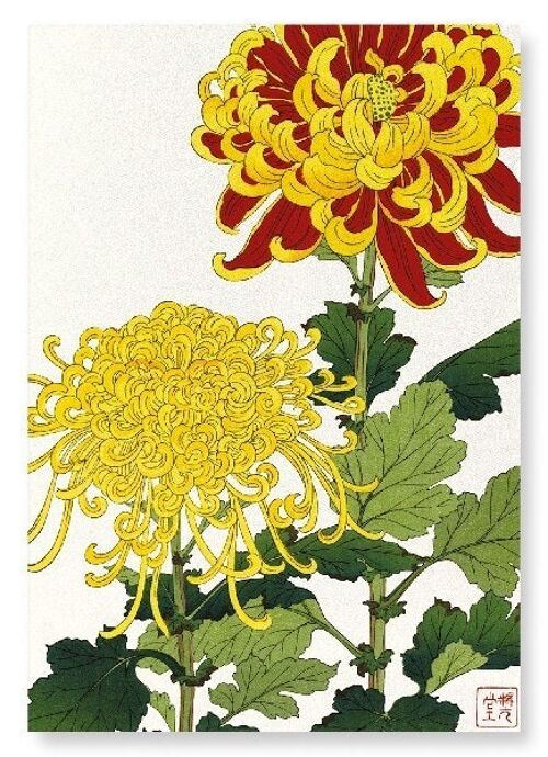 YELLOW CHRYSANTHEMUM Japanese Art Print