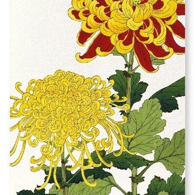 Stampa d'arte giapponese del crisantemo giallo