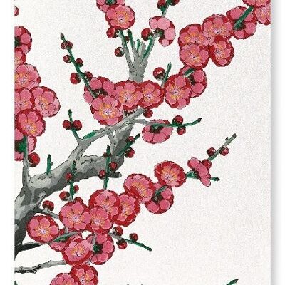 RED PLUM BLOSSOM Japanese Art Print