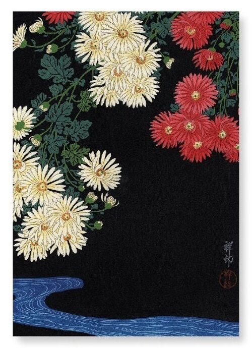 CHRYSANTHEMUM Japanese Art Print