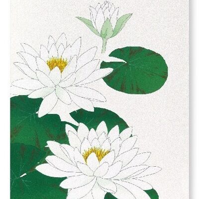 WHITE WATERLILY Japanese Art Print