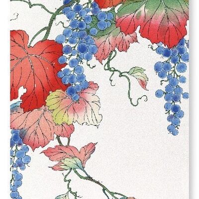 GRAPES Japanese Art Print