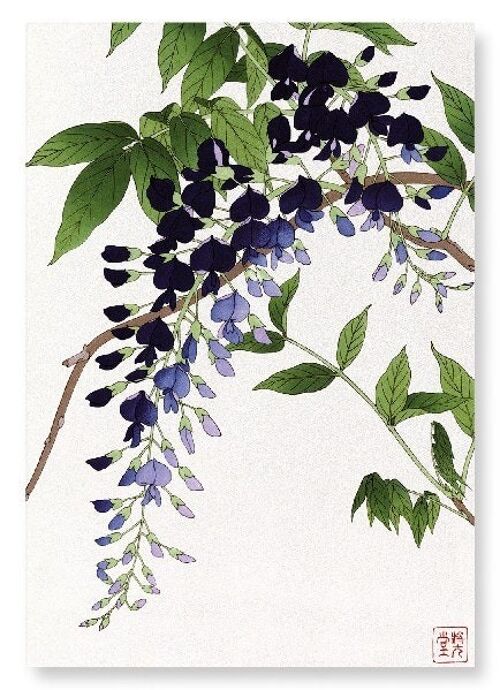 PURPLE WISTERIA Japanese Art Print