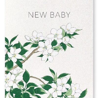 NEW BABY APPLE BLOSSOMS Japanese Art Print