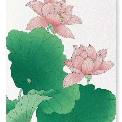 LOTUS ROSE Impression artistique japonaise