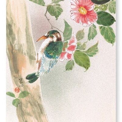 WOODPECKER C.1890  Japanese Art Print