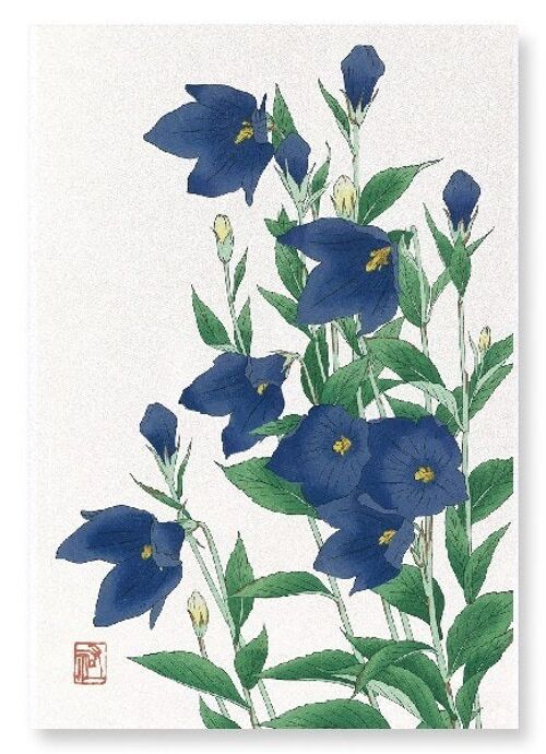 BLUEBELL FLOWER Japanese Art Print
