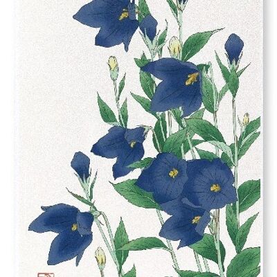 BLUEBELL FLOWER Impression artistique japonaise