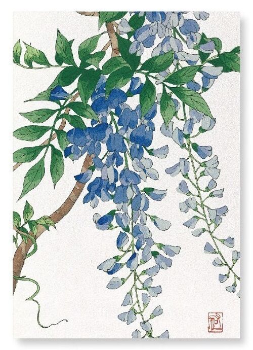 BLUE WISTERIA Japanese Art Print