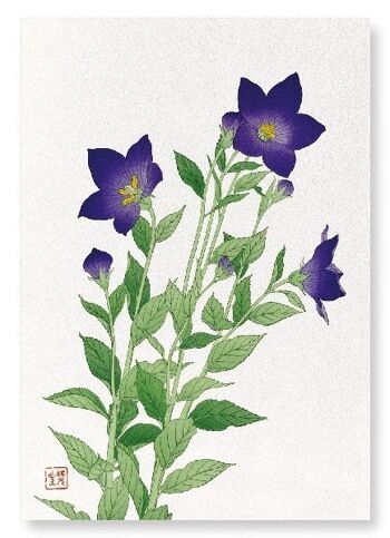 FLEUR DE CLOCHE VIOLET Impression d'art japonais 2