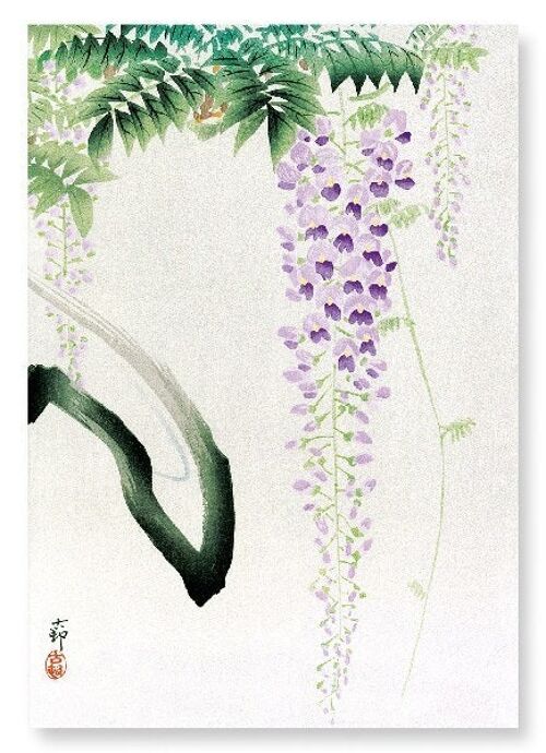WISTERIA Japanese Art Print