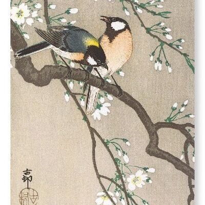 TIT BIRDS ON CHERRY BRANCH Japanese Art Print