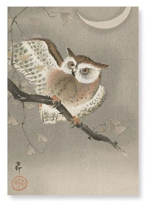 LONG-EARED OWL Japanese Art Print