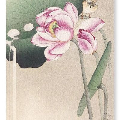 SONGBIRD AND LOTUS Japanese Art Print