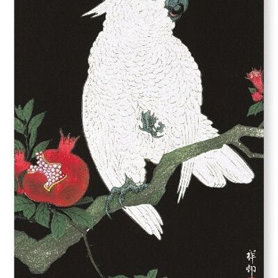 COCKATOO AND POMEGRANATE Japanese Art Print