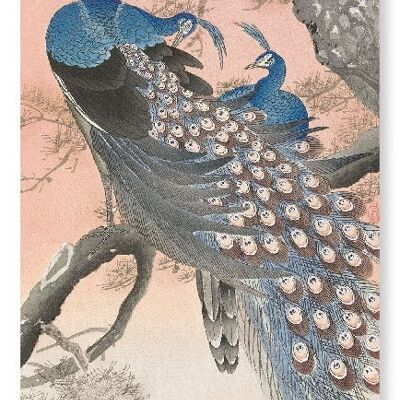 COUPLE OF PEACOCKS Japanese Art Print